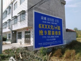 三原墙体广告质量分析